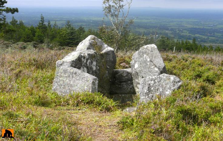 SHROUGH PASSAGE TOMB, COUNTY TIPPERARY